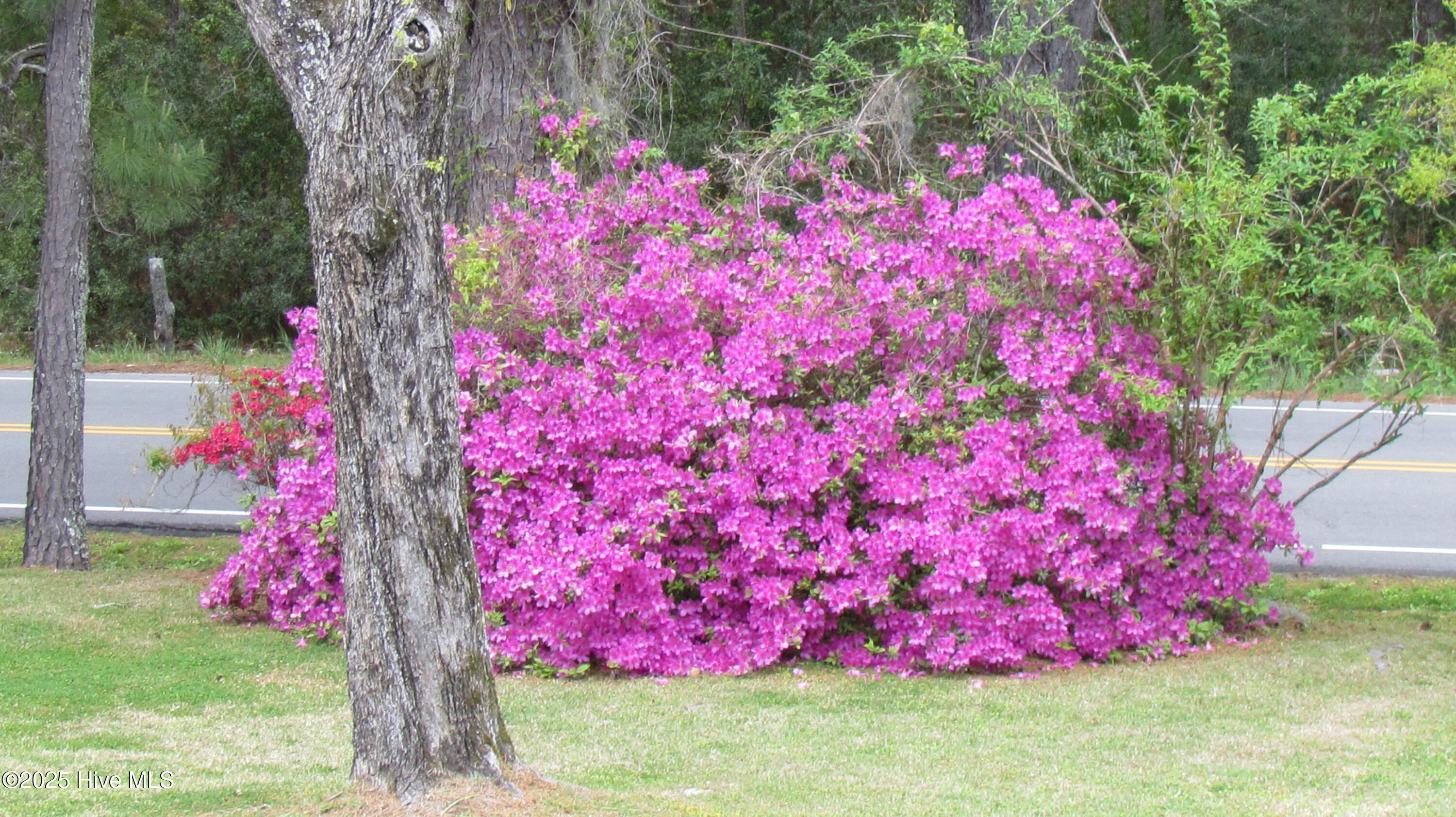 4414 Merrimon Road Beaufort, NC 28516 - Photo 53 of 71 IMG_5092