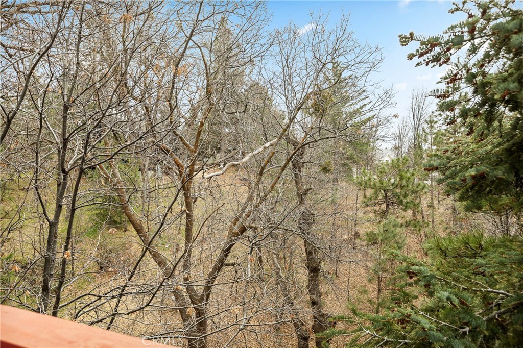 1076 Grass Valley Road Lake Arrowhead, CA 92352 - Photo 15 of 35 Mature pine and oak trees provide seasonal colors