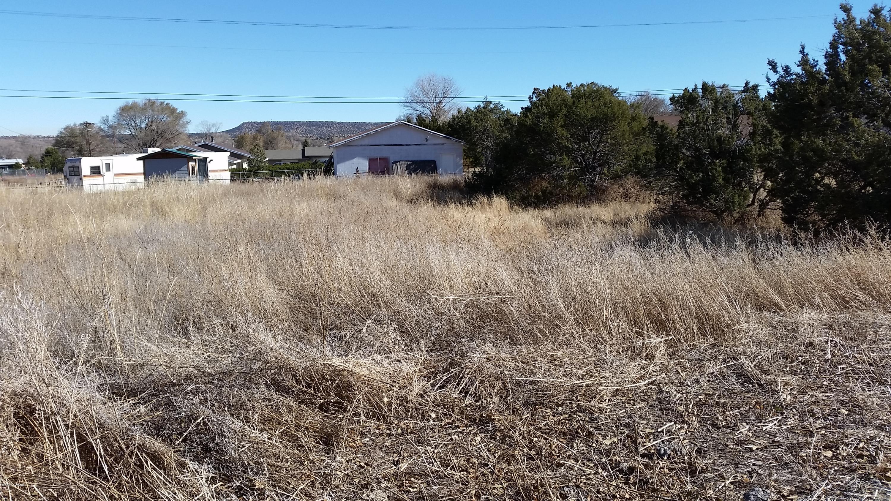 Tbd Susie Lane Springerville, AZ 85938 - Photo 4 of 9 a view of a yard