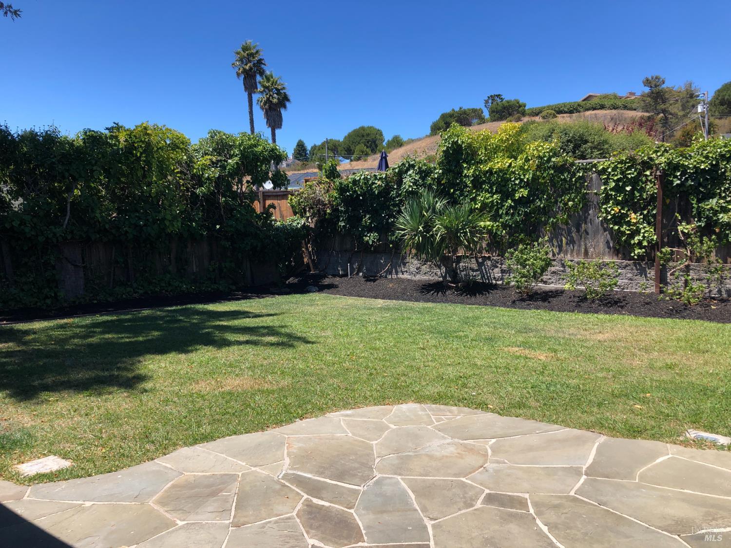 27 Apollo Road Tiburon, CA 94920 - Photo 6 of 6