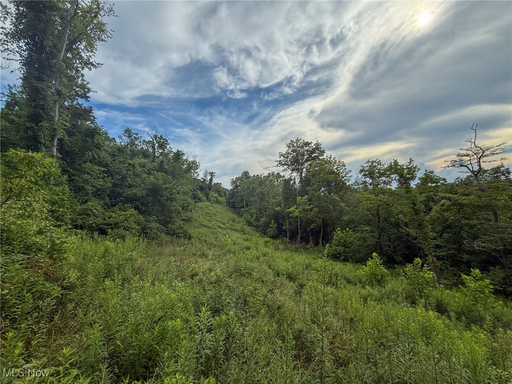 Sand Hill Road Bellaire, OH 43906 - Photo 1 of 34 View of woods
