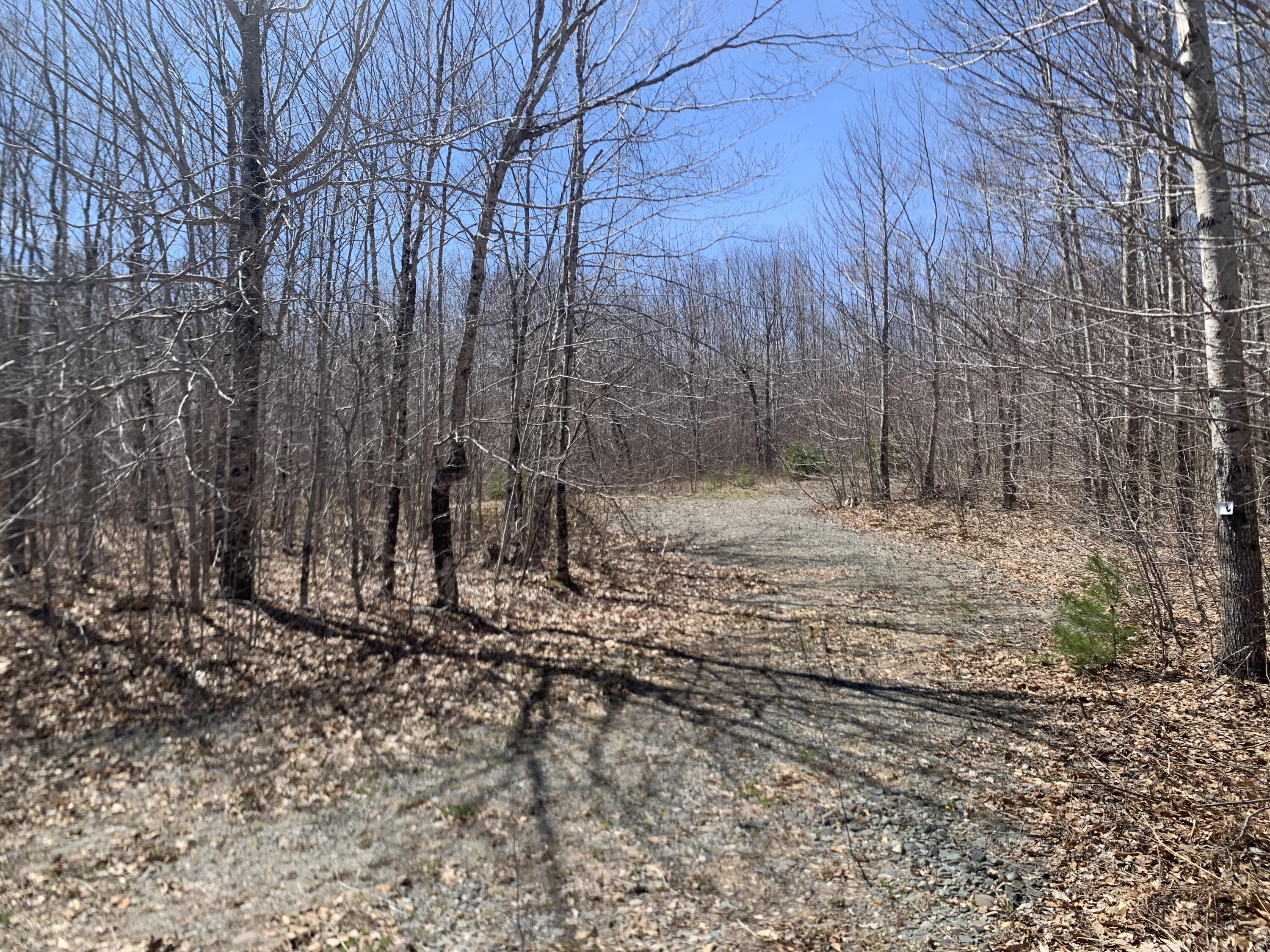 Lot 30 Jellison Hill Road Dedham, ME 04429 - Photo 1 of 1 Lot 30 Jellison Hill Rd.