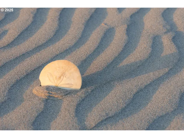 $675,000 | 34320 Cape Kiwanda Drive, Pacific City, OR 97135