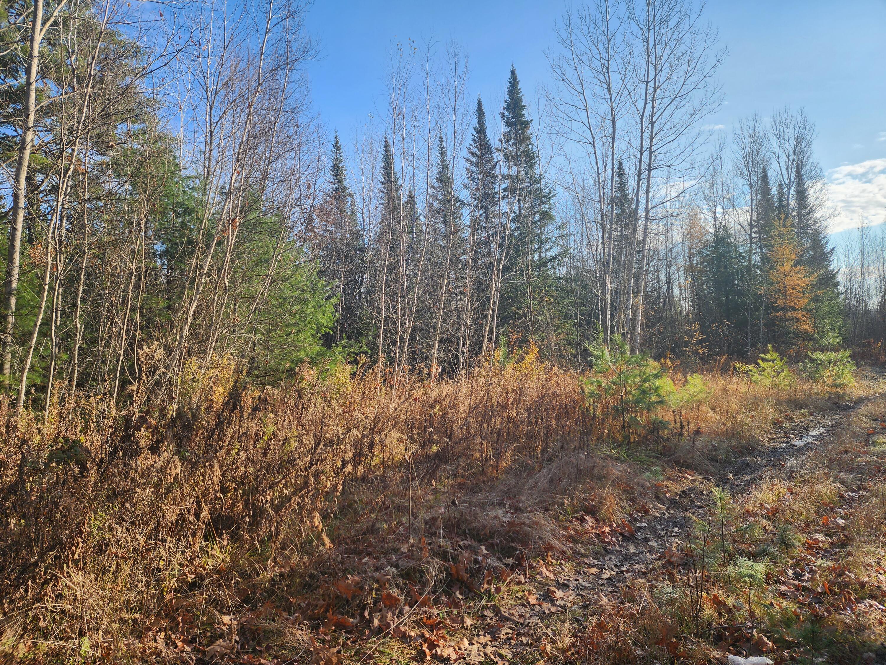355-off Greenfield Road Milford, ME 04461 - Photo 6 of 10 20231115_091855