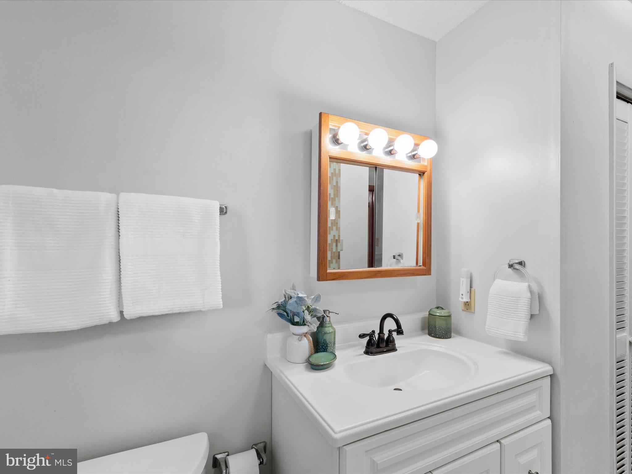 13374 Cove Landing Road Bishopville, MD 21813 - Photo 36 of 108 a bathroom with a sink and a mirror