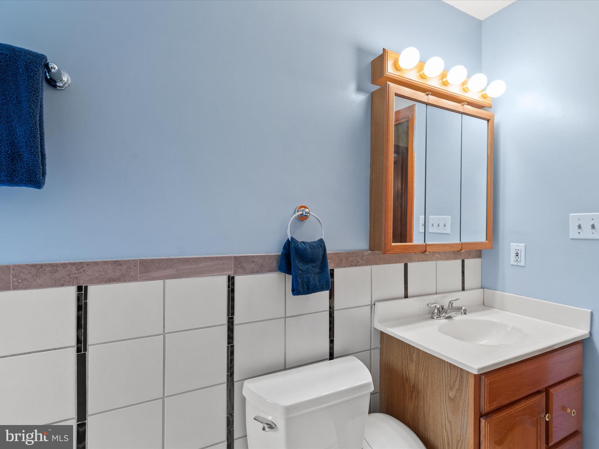 13374 Cove Landing Road Bishopville, MD 21813 - Photo 47 of 108 a bathroom with a sink vanity and toilet