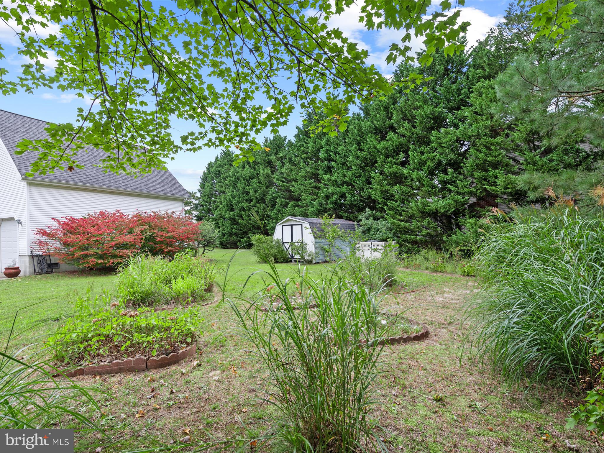 13374 Cove Landing Road Bishopville, MD 21813 - Photo 81 of 108 Side Yard