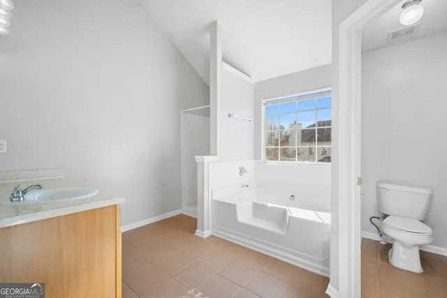 a bathroom with a sink and a toilet