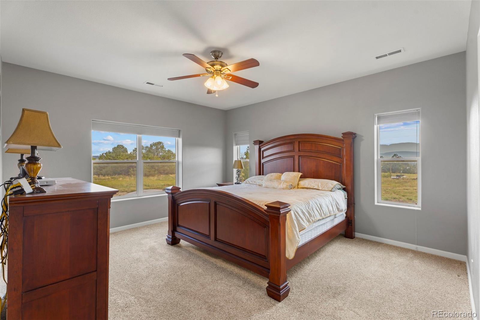6040 Big Sky Drive Rye, CO 81069 - Photo 16 of 50