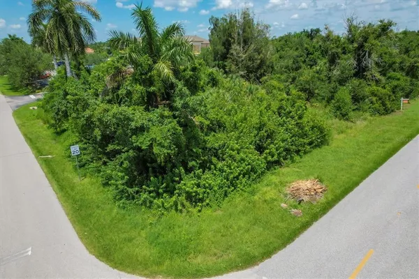 a view of a garden