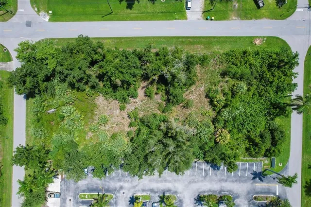 a view of a yard with plants