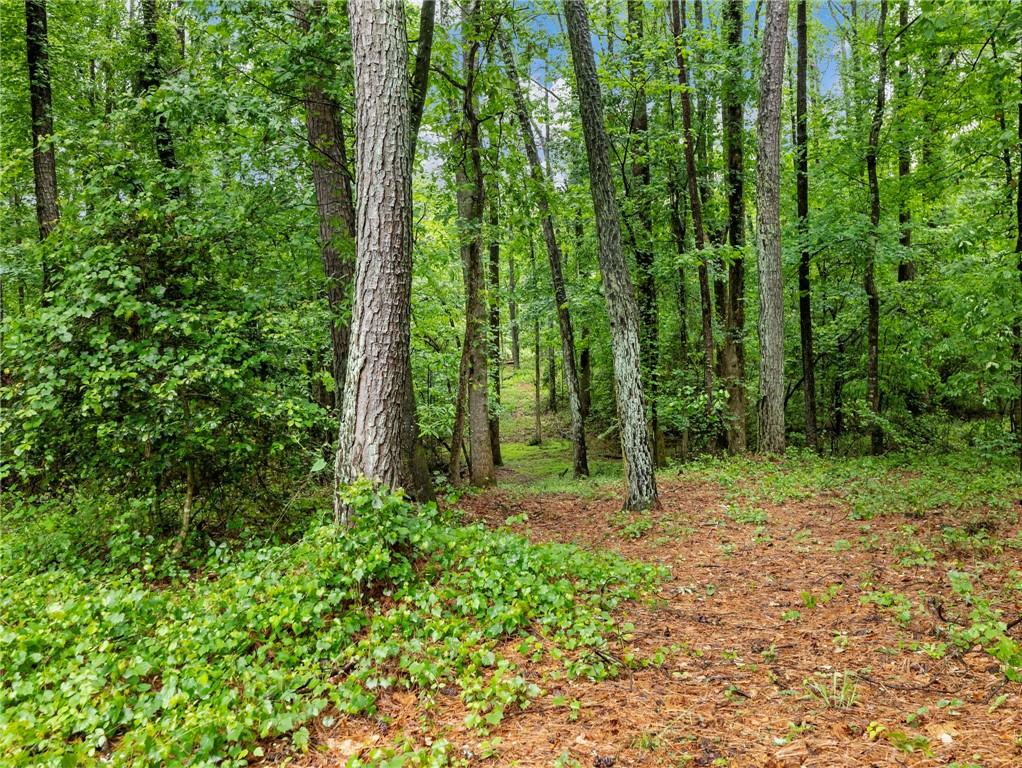 2885 Callie Still Road Lawrenceville, GA 30045 - Photo 50 of 56