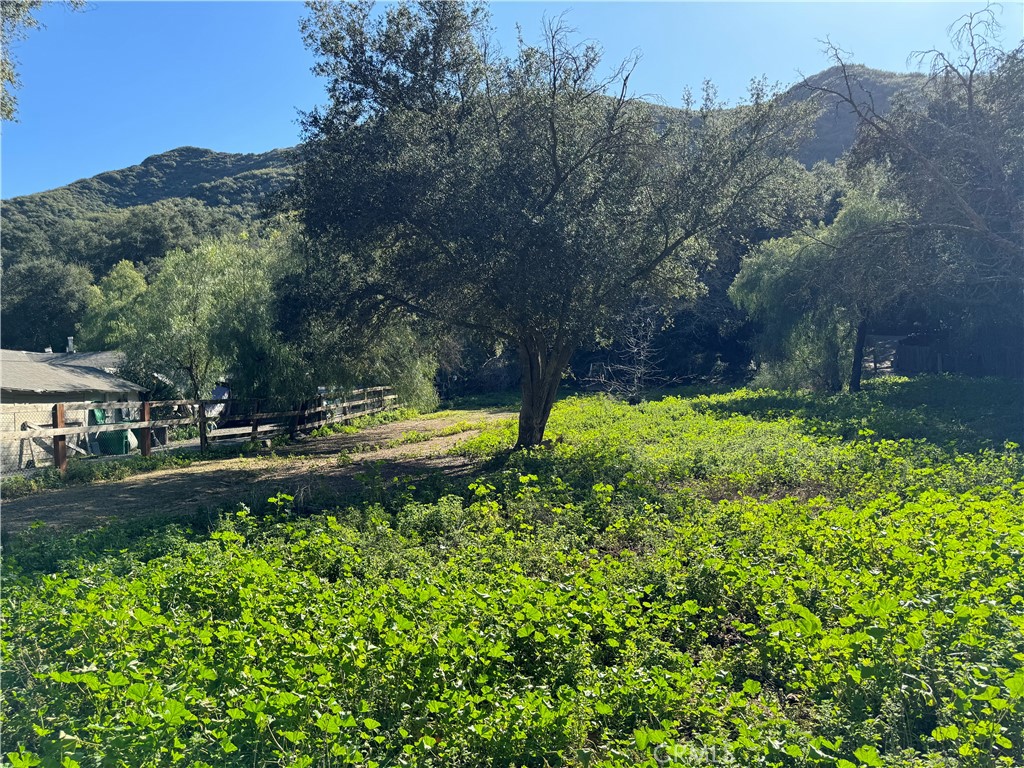 28622 Modjeska Canyon Road Silverado, CA 92676 - Photo 1 of 1 a view of a garden with a house
