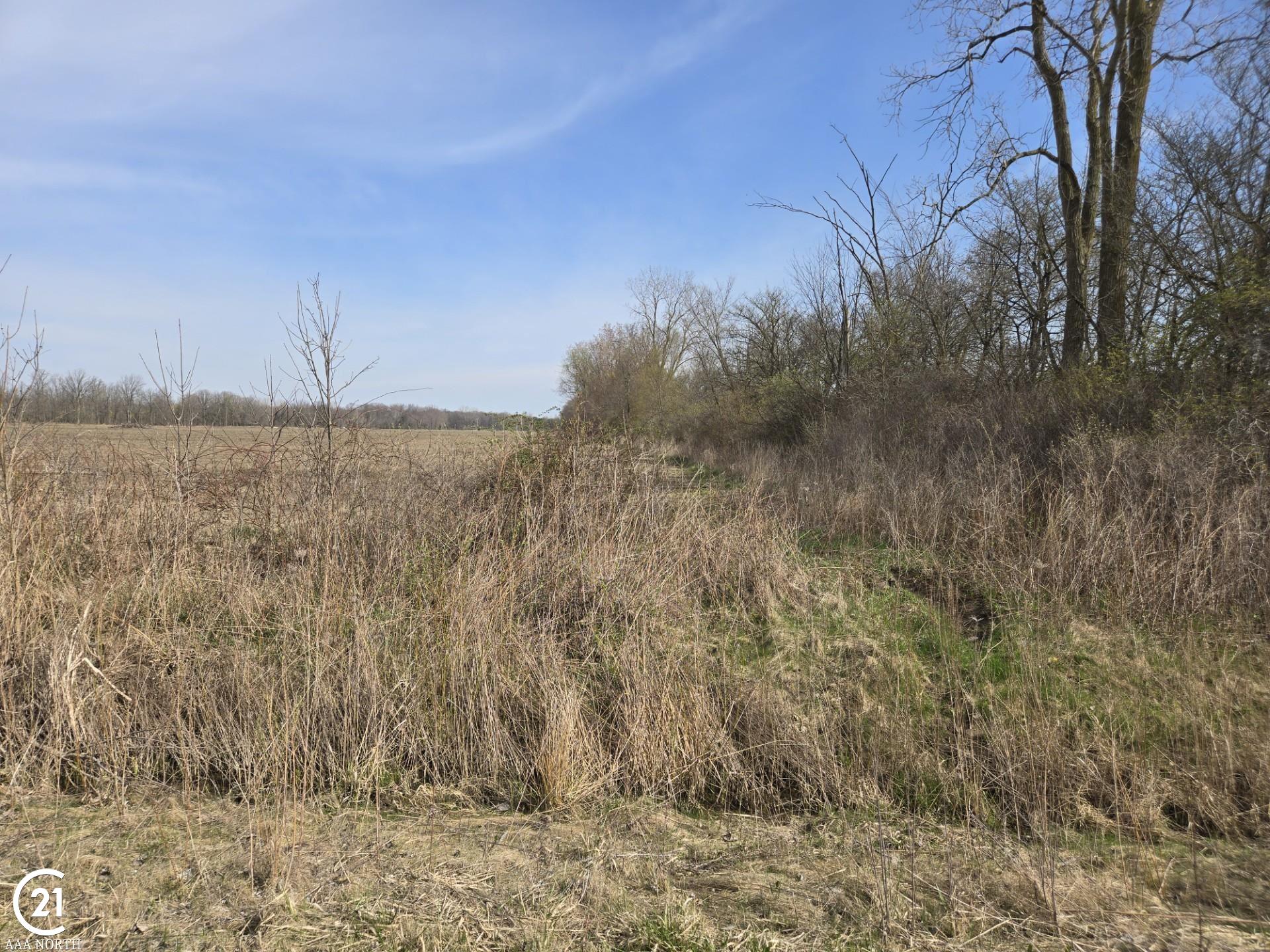 0 Meskill (lot D) Road Columbus, MI 48063 - Photo 9 of 15