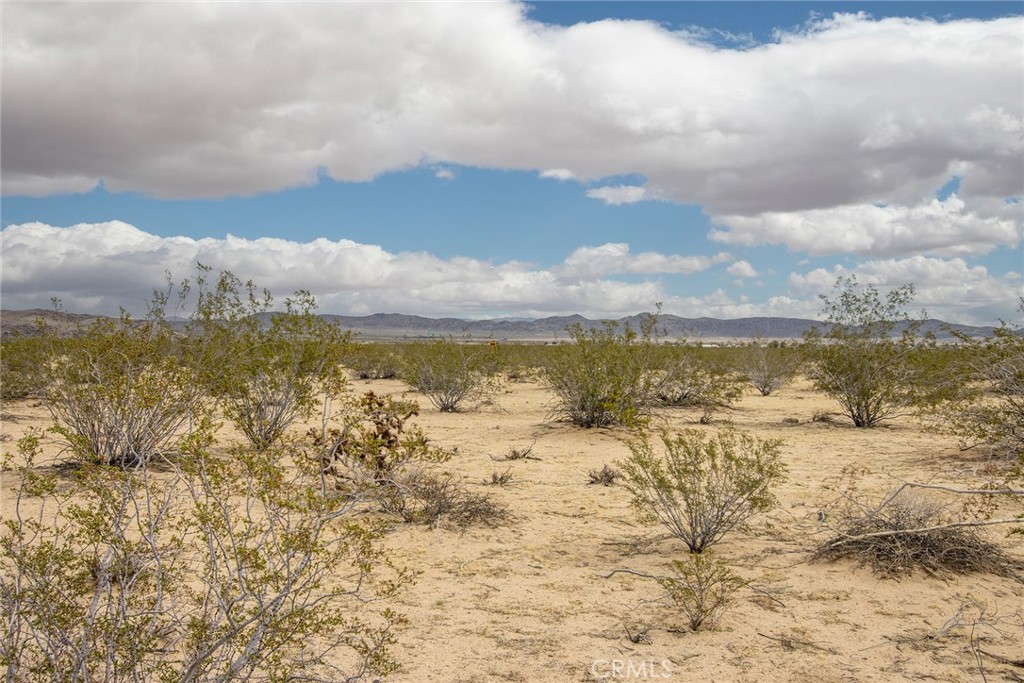 0 4th Street South Joshua Tree, CA 92252 - Photo 12 of 16