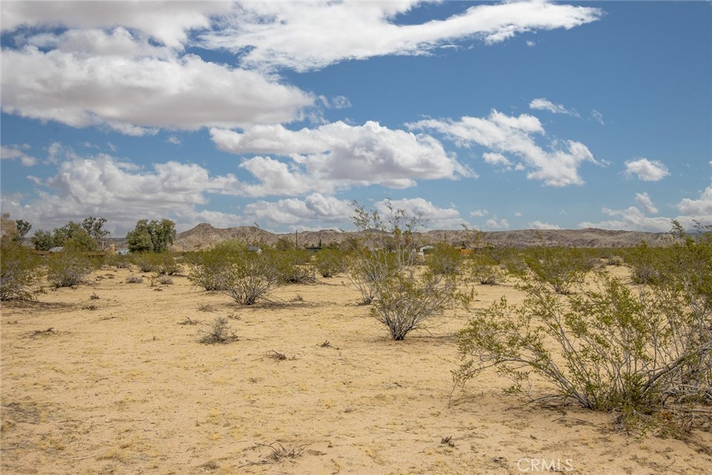 0 4th Street South Joshua Tree, CA 92252 - Photo 14 of 16