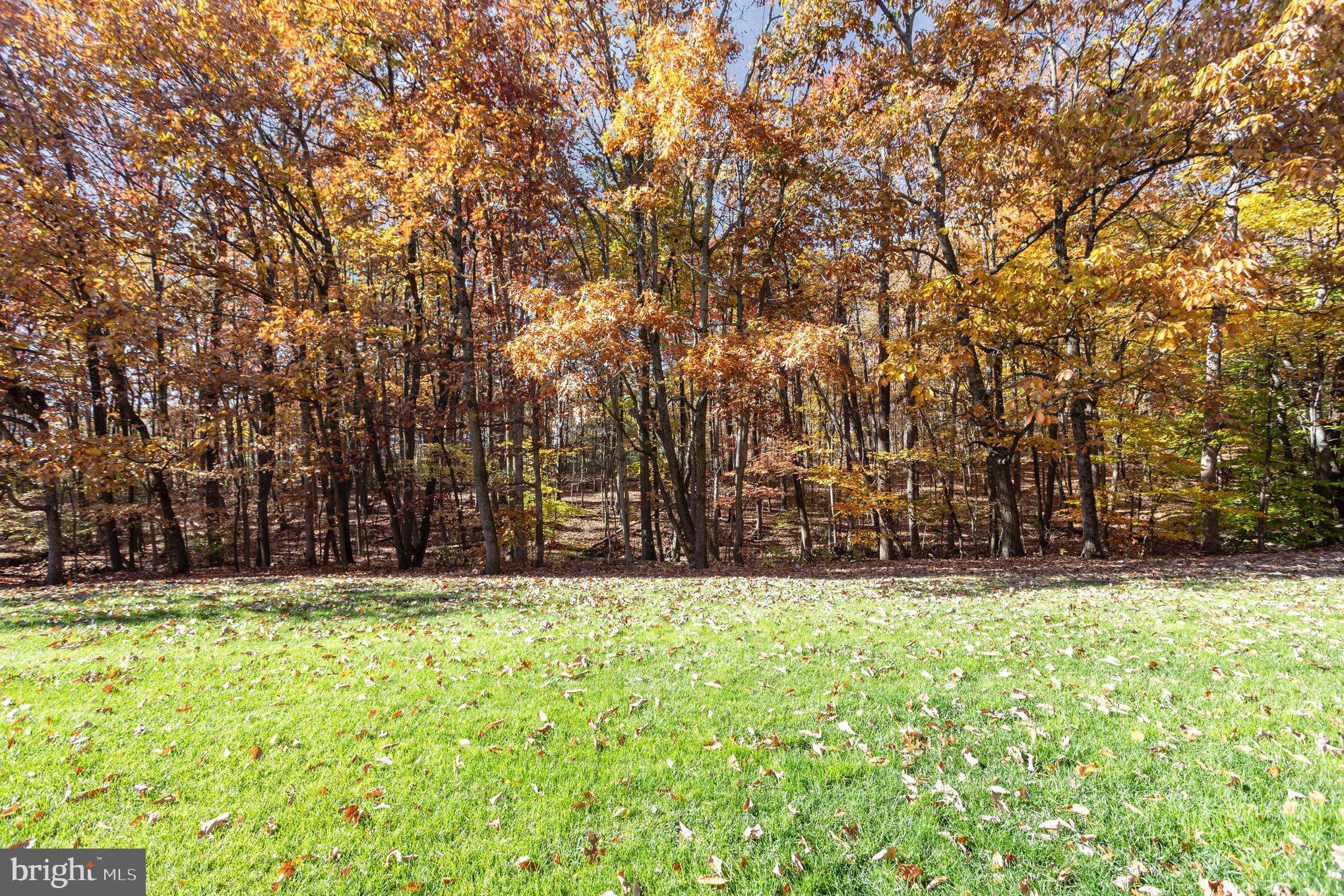 3901 Darleigh Road, Unit C Nottingham, MD 21236 - Photo 22 of 23 a front view of a house with a yard