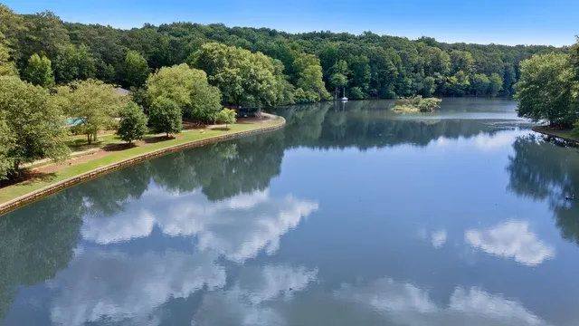 a view of a lake in middle of forest