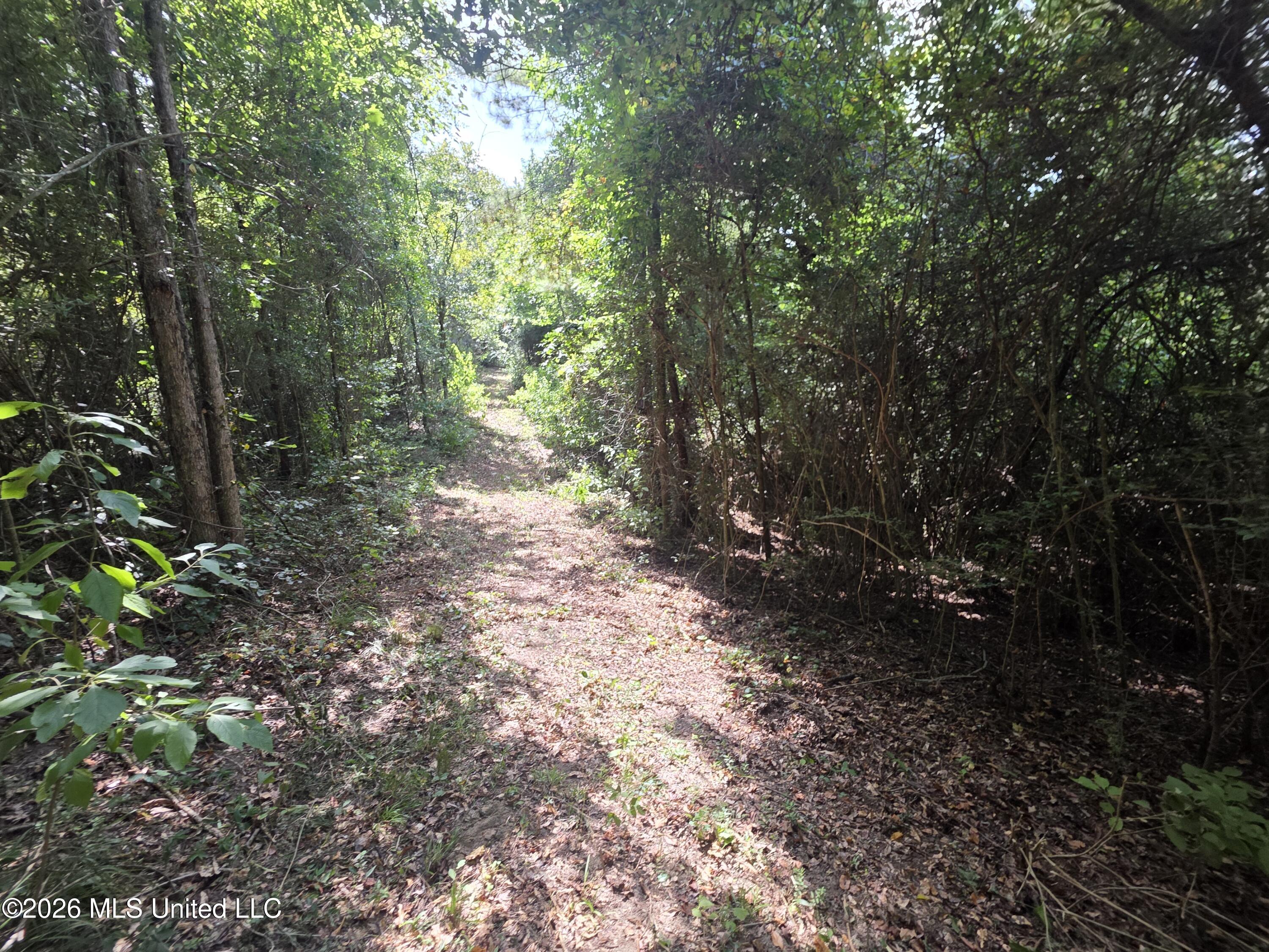Mt Carmel Road Prentiss, MS 39474 - Photo 39 of 53 37971