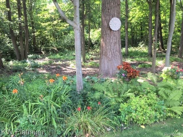 9630 Nook Road, Unit 4 Algonac, MI 48001 - Photo 24 of 36 backyard 1.jpg