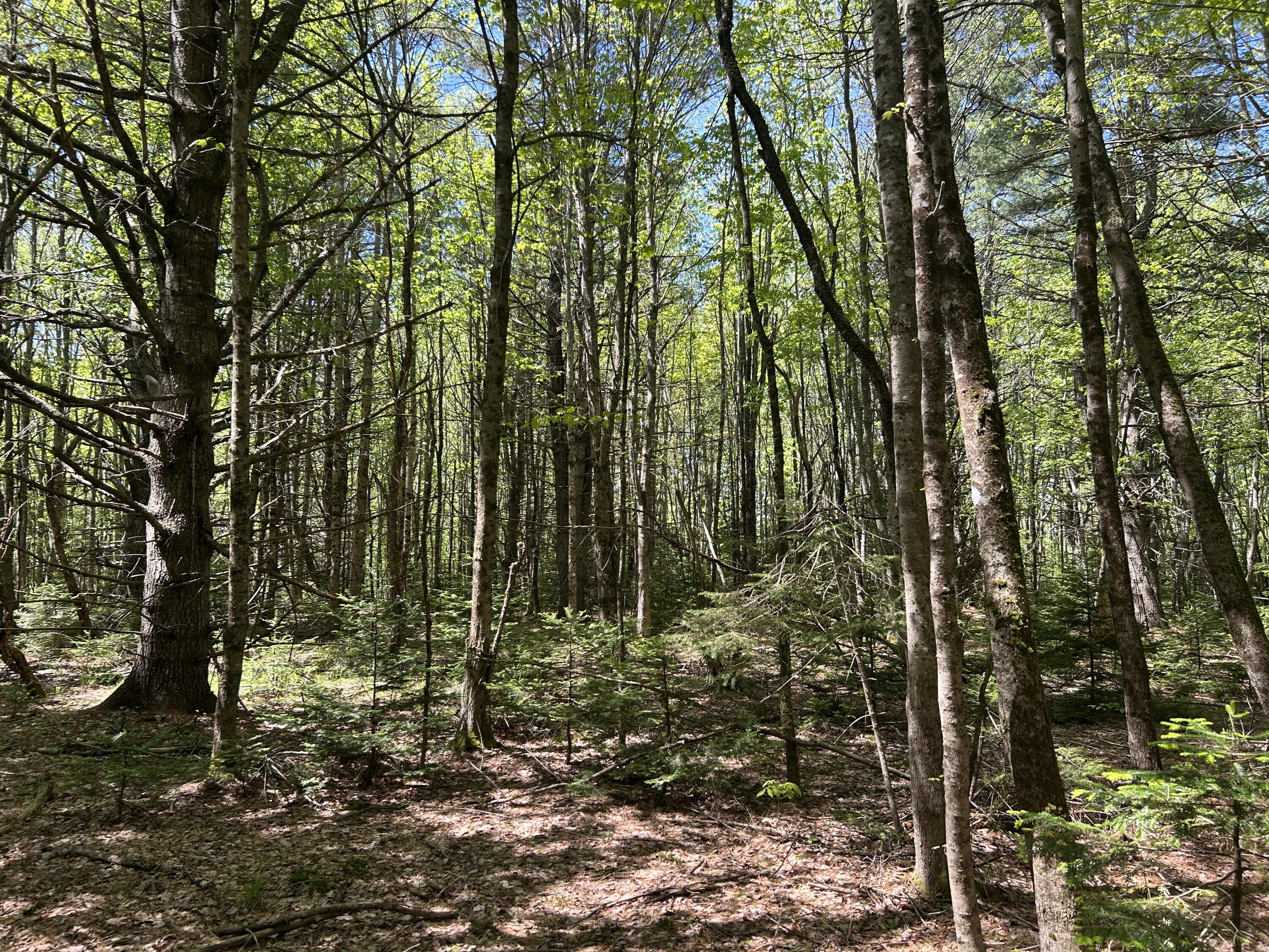 Lot B Ward Hill Road Troy, ME 04987 - Photo 12 of 24 6425E57D-36DE-467D-A67F-0095AC27B4AB