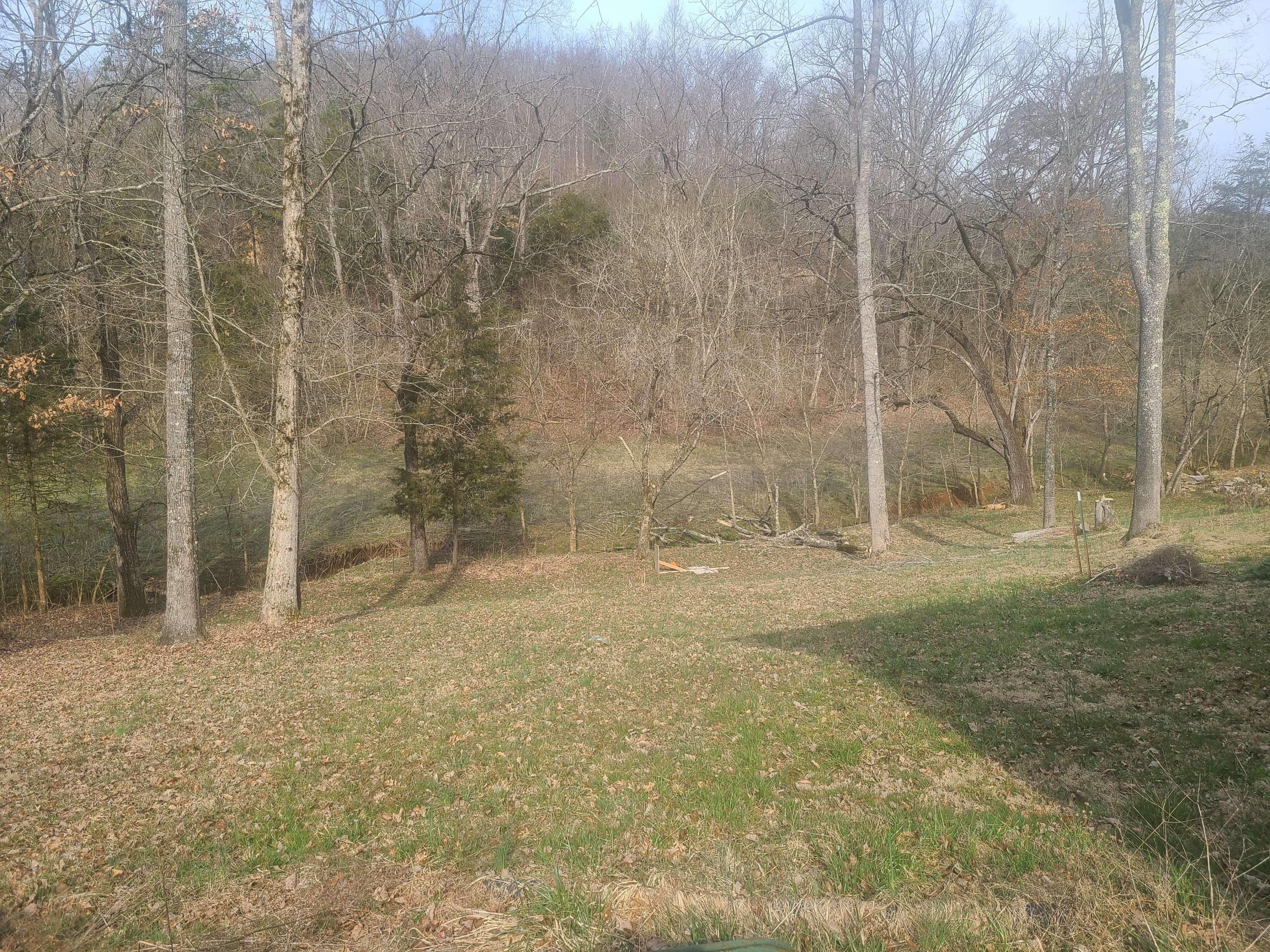 424 Blue Springs Road Speedwell, TN 37870 - Photo 3 of 20 E36B3940-920A-493A-A265-21E310A12BD3