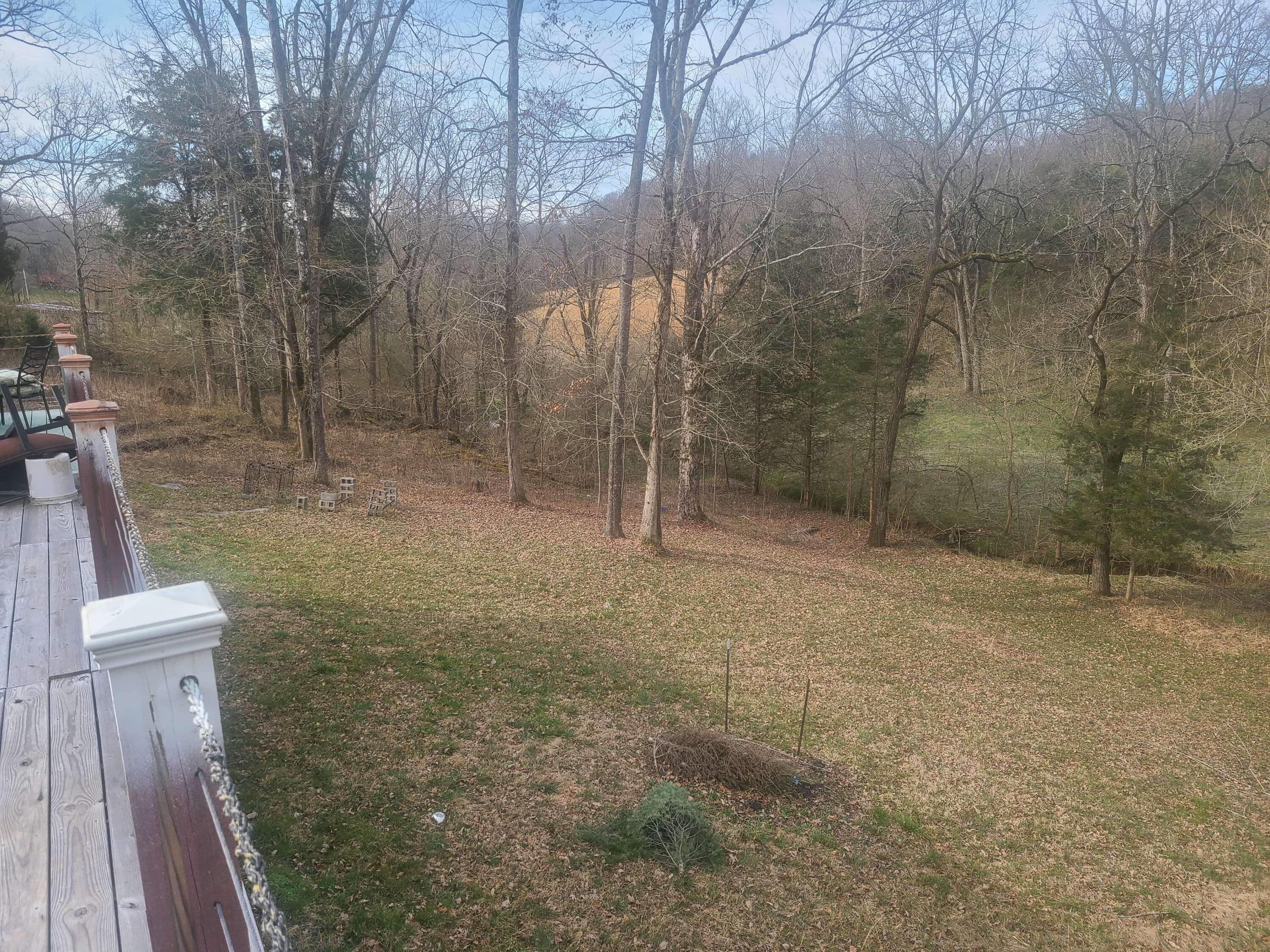 424 Blue Springs Road Speedwell, TN 37870 - Photo 4 of 20 5E5C886C-AB40-4C0B-8512-49071B9CEE80