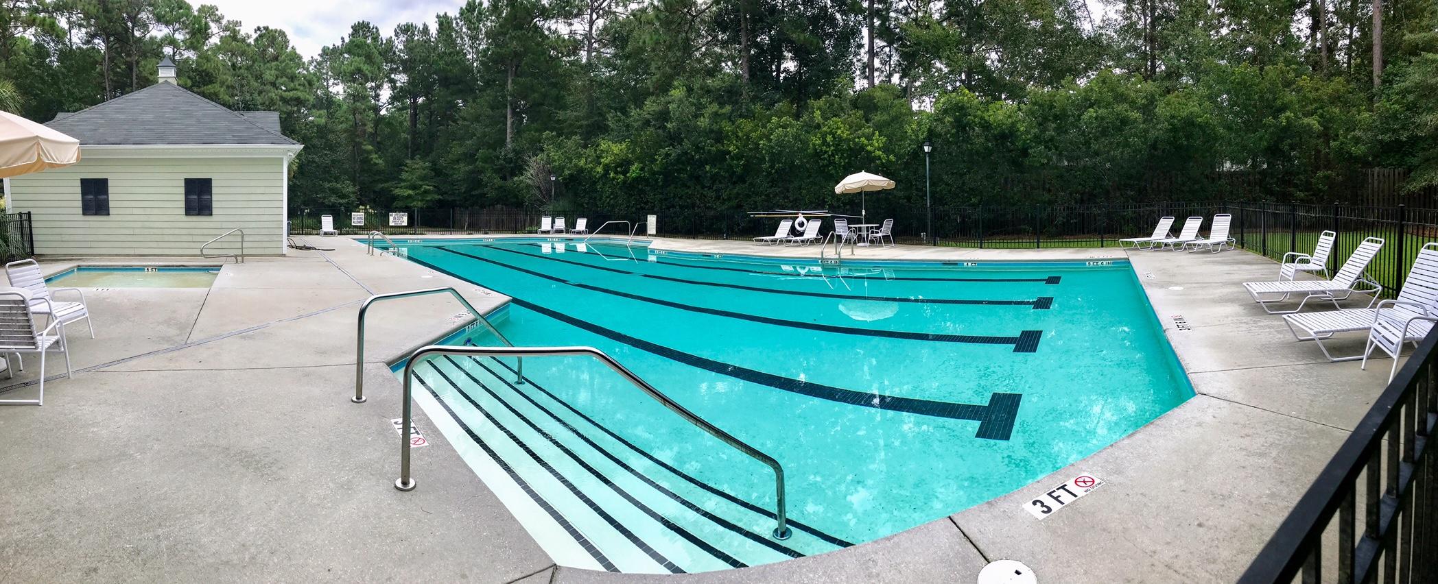 152 Alpine Road Summerville, SC 29485 - Photo 18 of 24 Buckshire pool2
