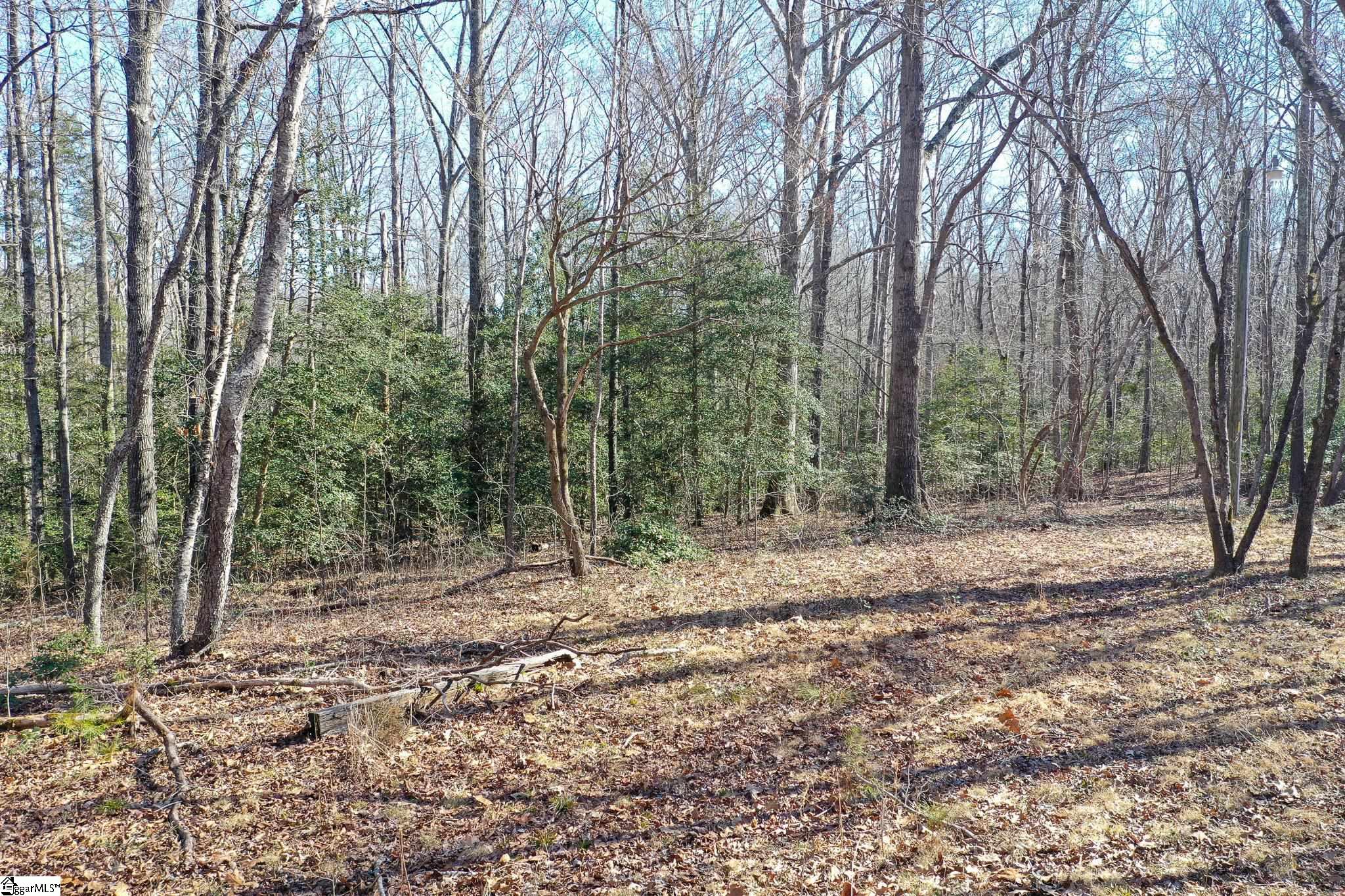 2507 West Georgia Road Piedmont, SC 29673 - Photo 15 of 21 Gallery Image 15