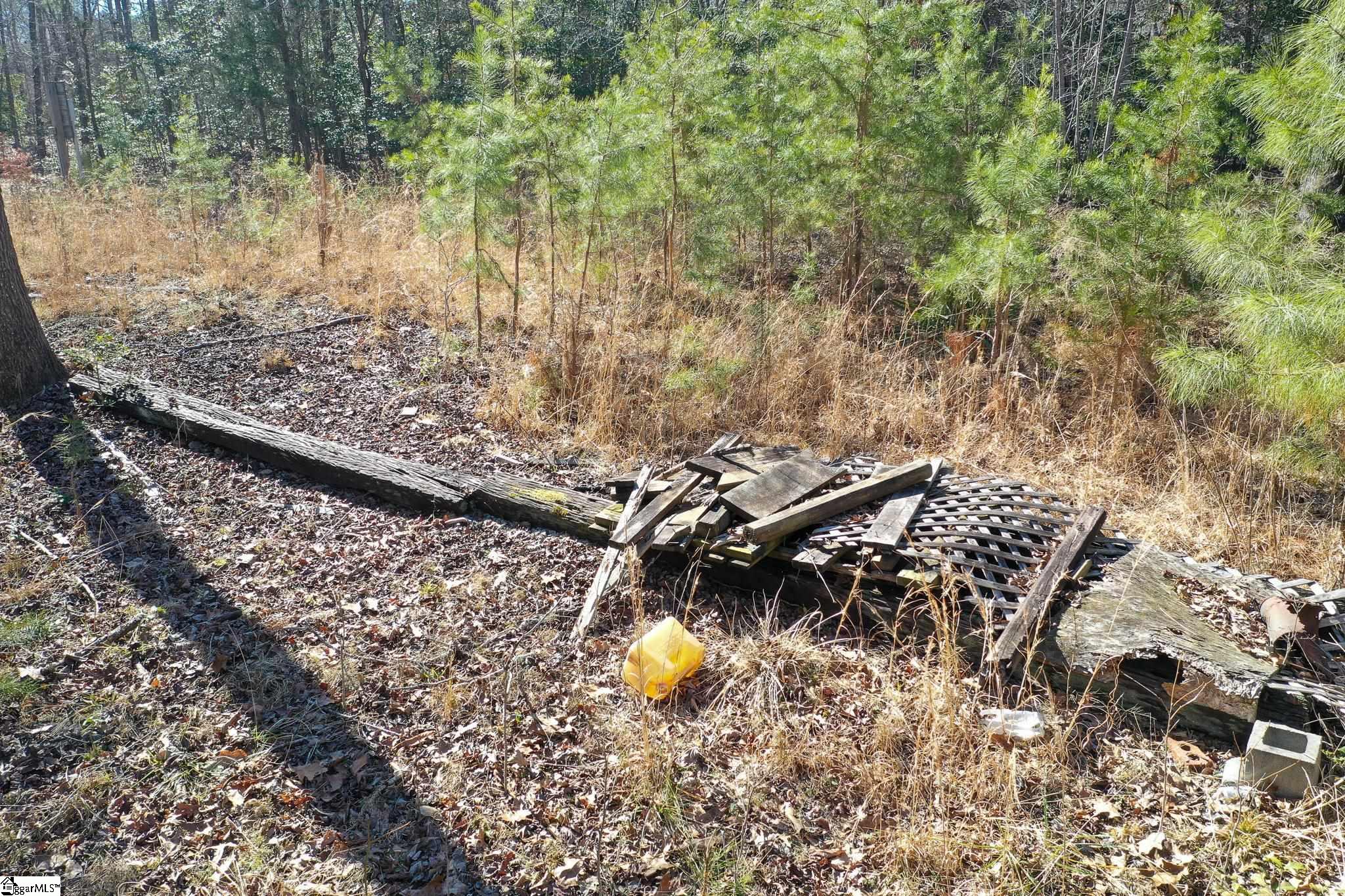 Gallery Image 6