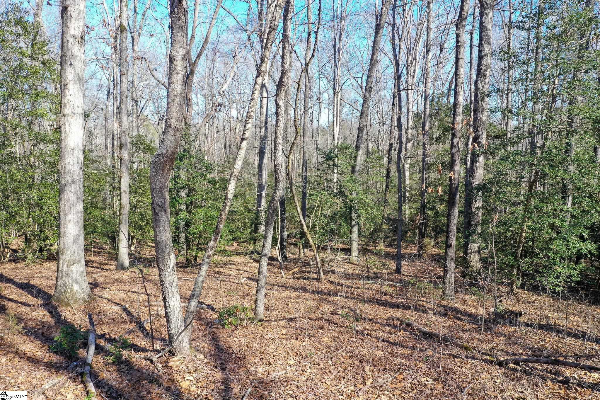 2507 West Georgia Road Piedmont, SC 29673 - Photo 8 of 21 Gallery Image 8