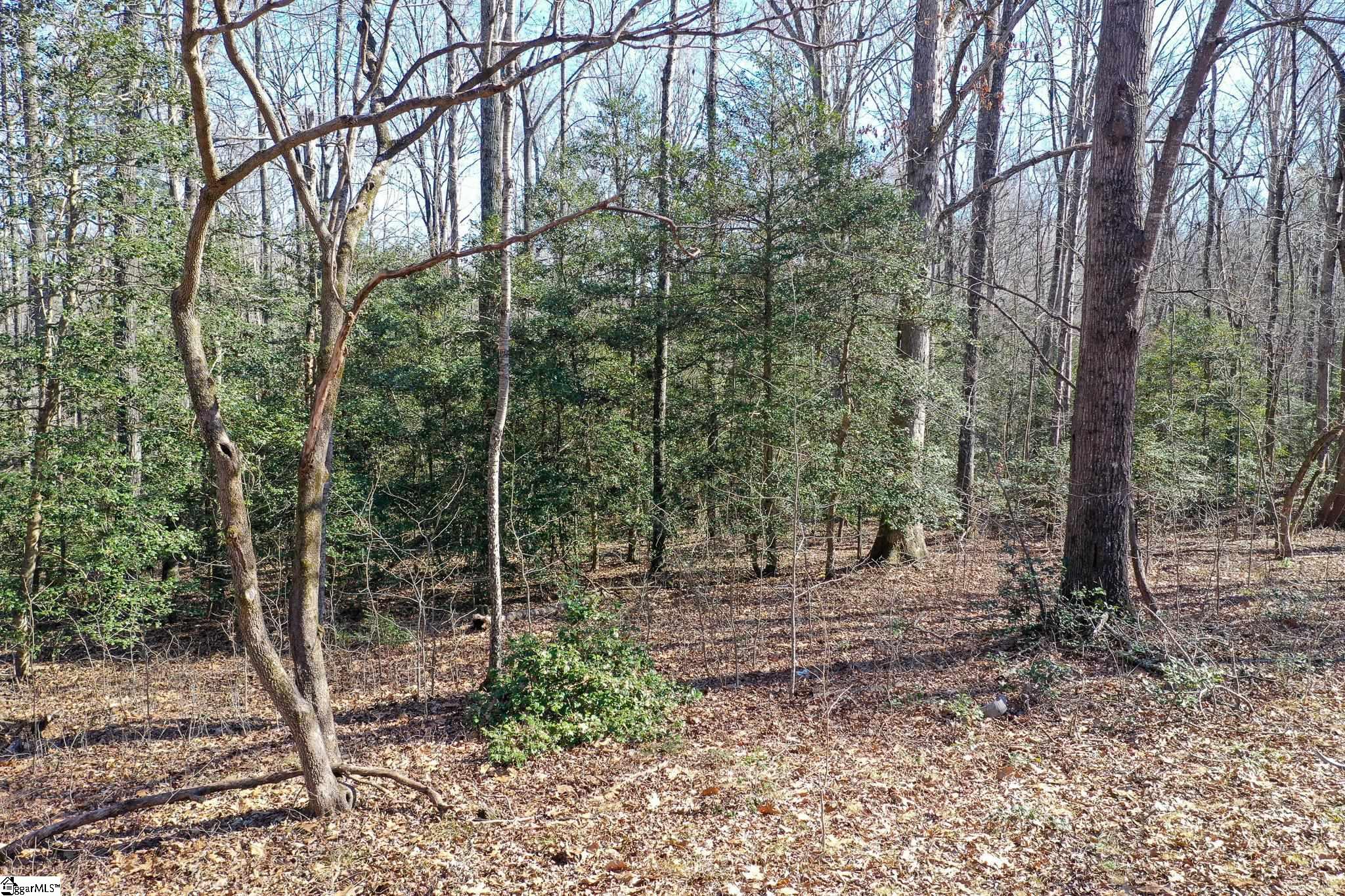2507 West Georgia Road Piedmont, SC 29673 - Photo 9 of 21 Gallery Image 9