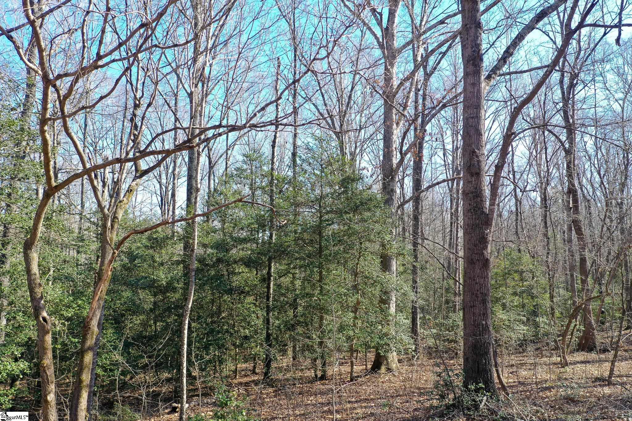 2507 West Georgia Road Piedmont, SC 29673 - Photo 10 of 21 Gallery Image 10