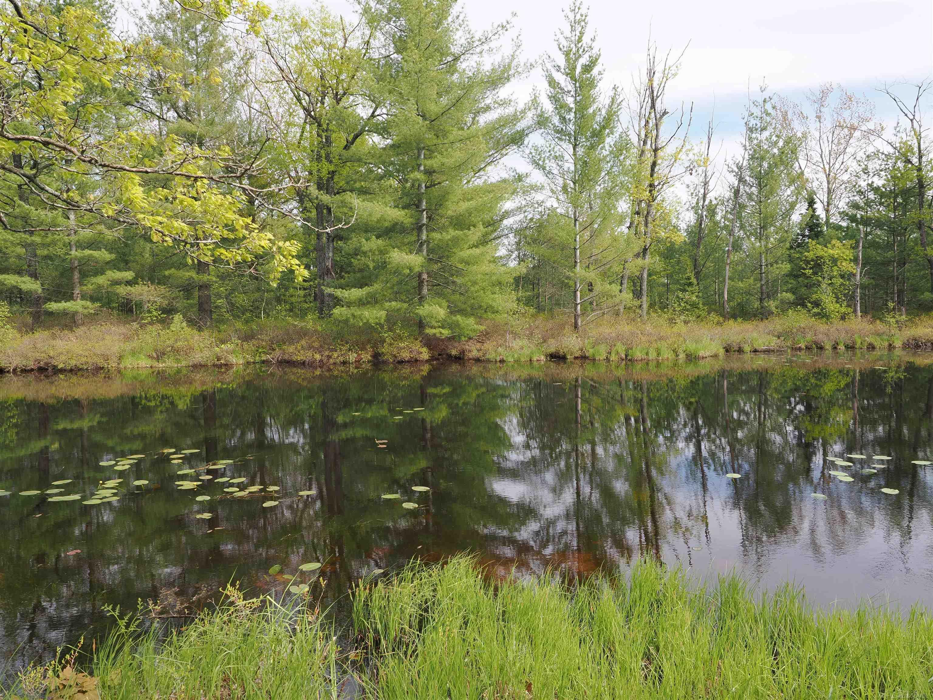 4011 Sandall Road Alpena, MI 49707 - Photo 3 of 73