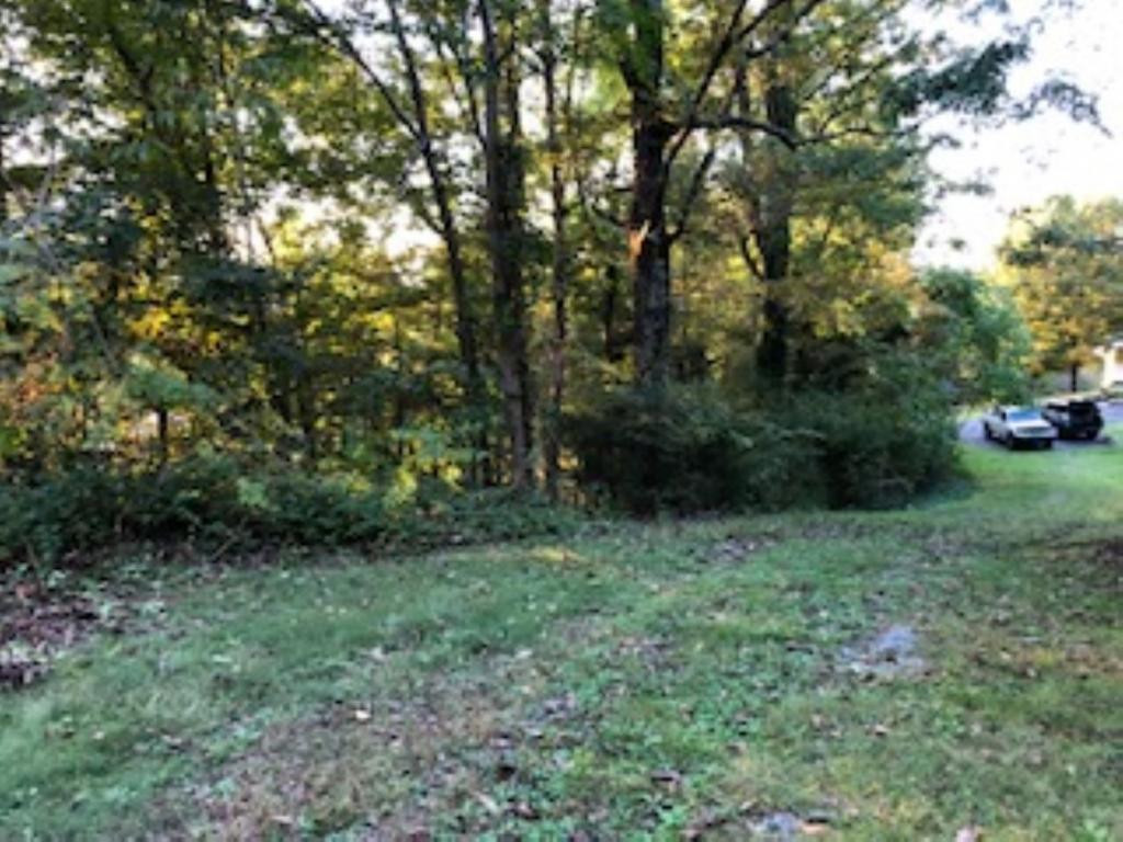 216 Milden Hall Road Bristol, TN 37620 - Photo 24 of 25 Photo 24
