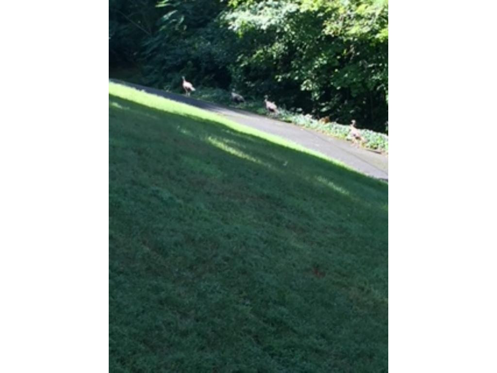 216 Milden Hall Road Bristol, TN 37620 - Photo 25 of 25 Photo 25