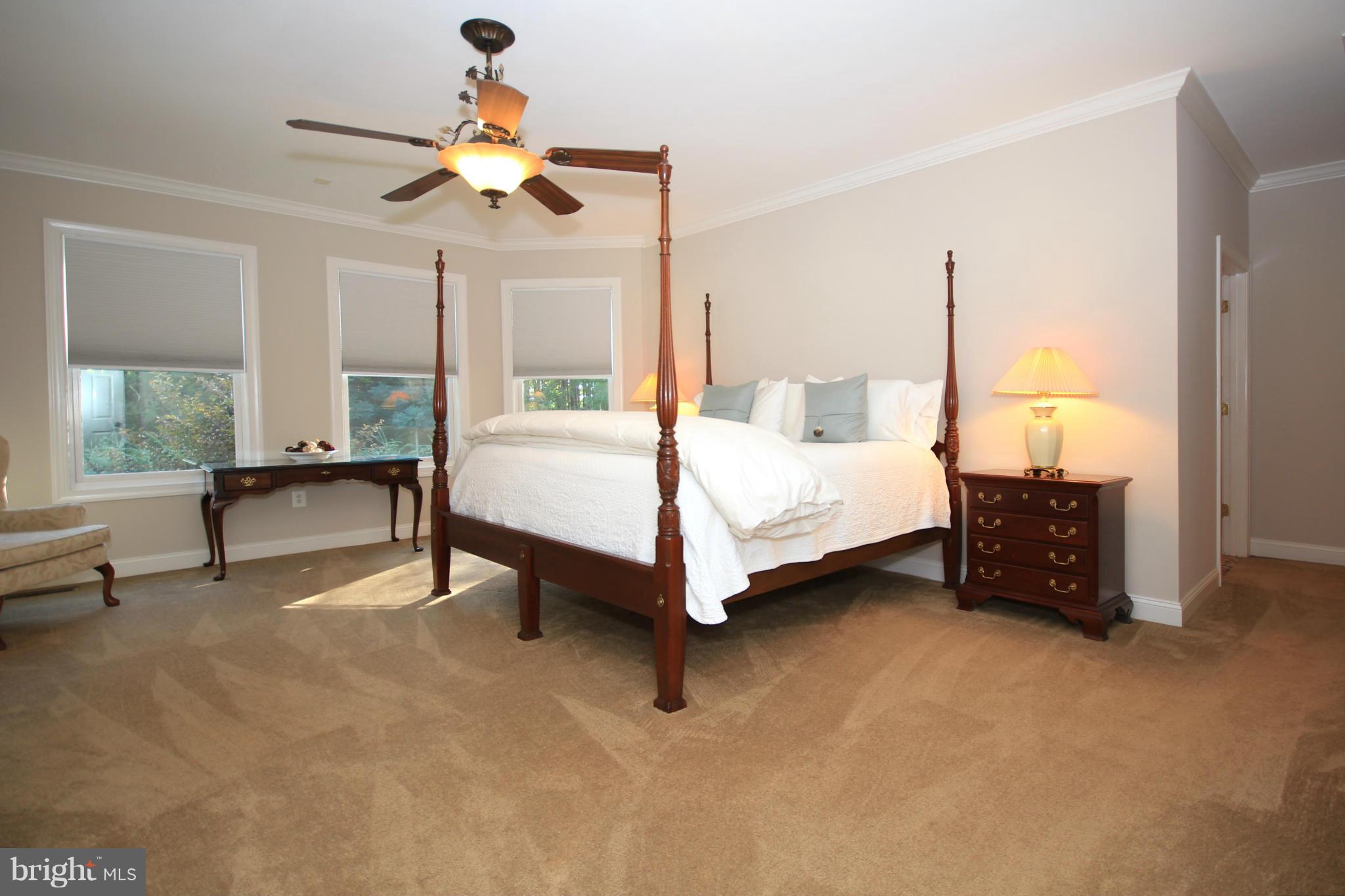 16333 Hamilton Station Road Waterford, VA 20197 - Photo 14 of 30 Master bedroom