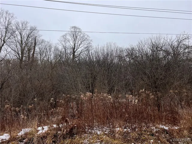 $20,000 | 6794 Rawson Road, Lyndon, NY 14727