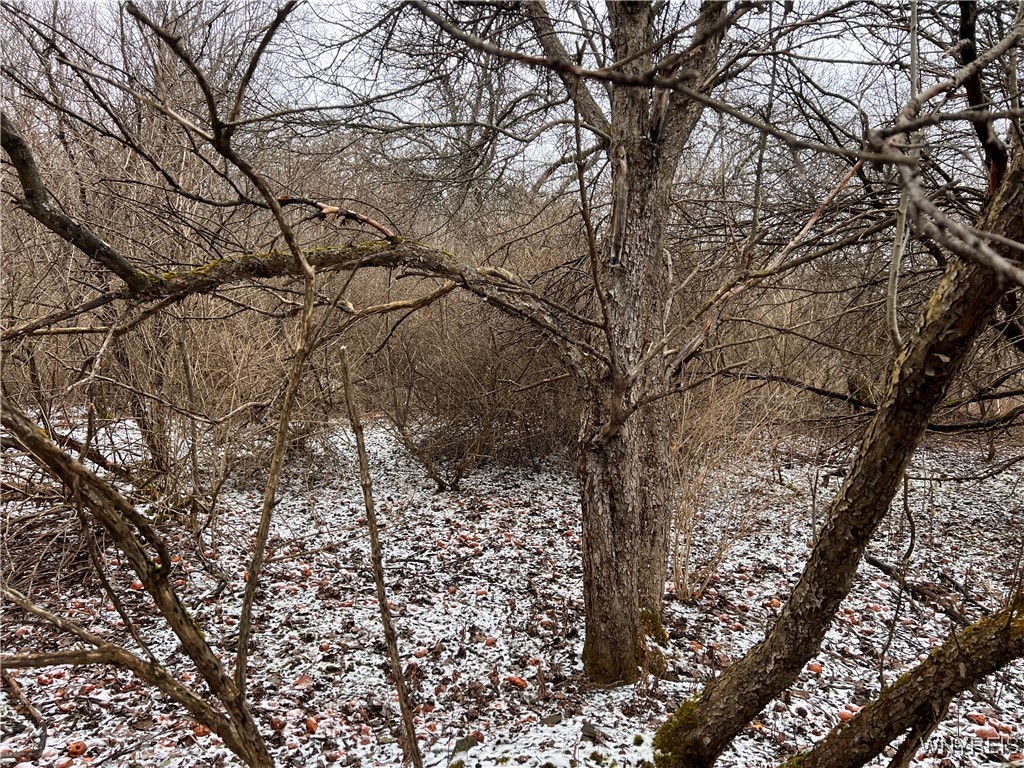 6794 Rawson Road Lyndon, NY 14727 - Photo 2 of 3