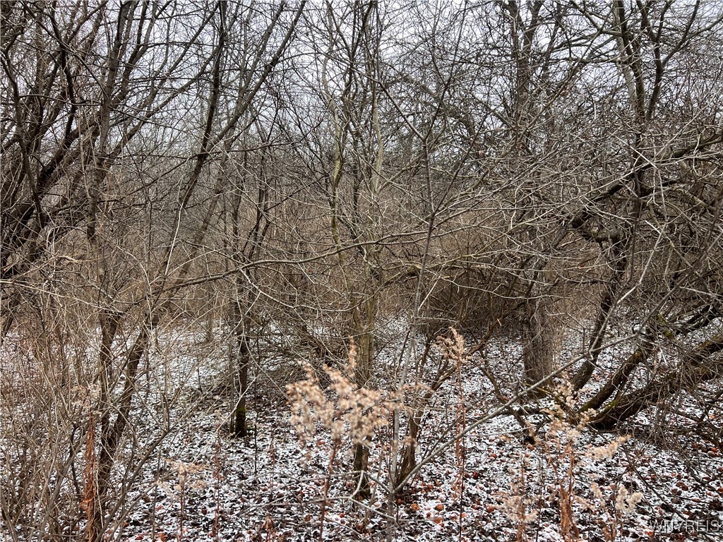 6794 Rawson Road Lyndon, NY 14727 - Photo 3 of 3