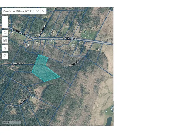 $37,500 | Lot 29 Peters Lane, Gilboa, NY 12076