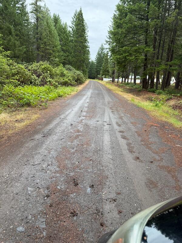 Lone Mountain Road, Unit 1300 Cave Junction, OR 97523 - Photo 1 of 15 developed driveway part way to property, from paved rd.