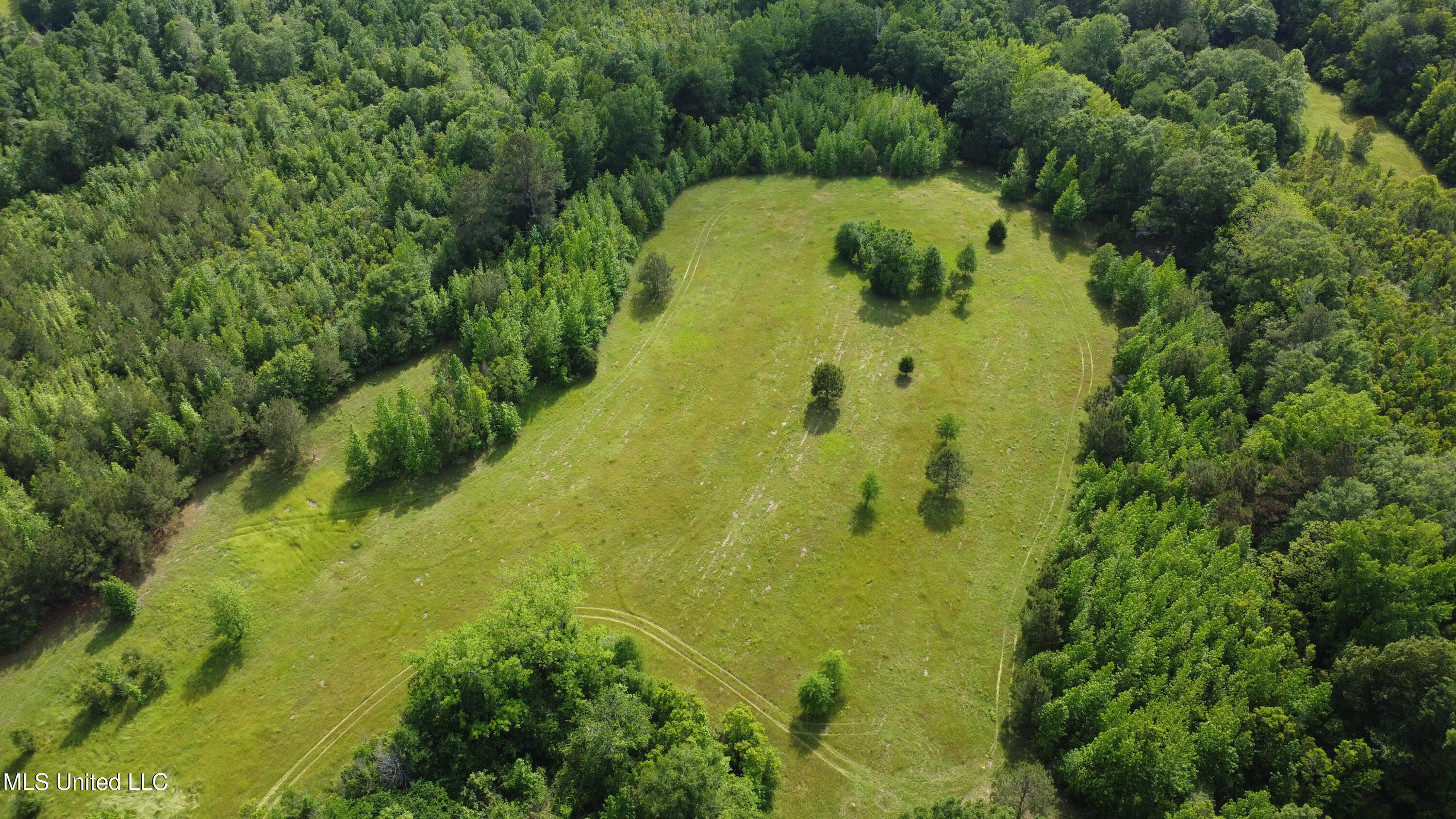 Fate Ward Road Carson, MS 39427 - Photo 1 of 33 Jefferson Davis 38