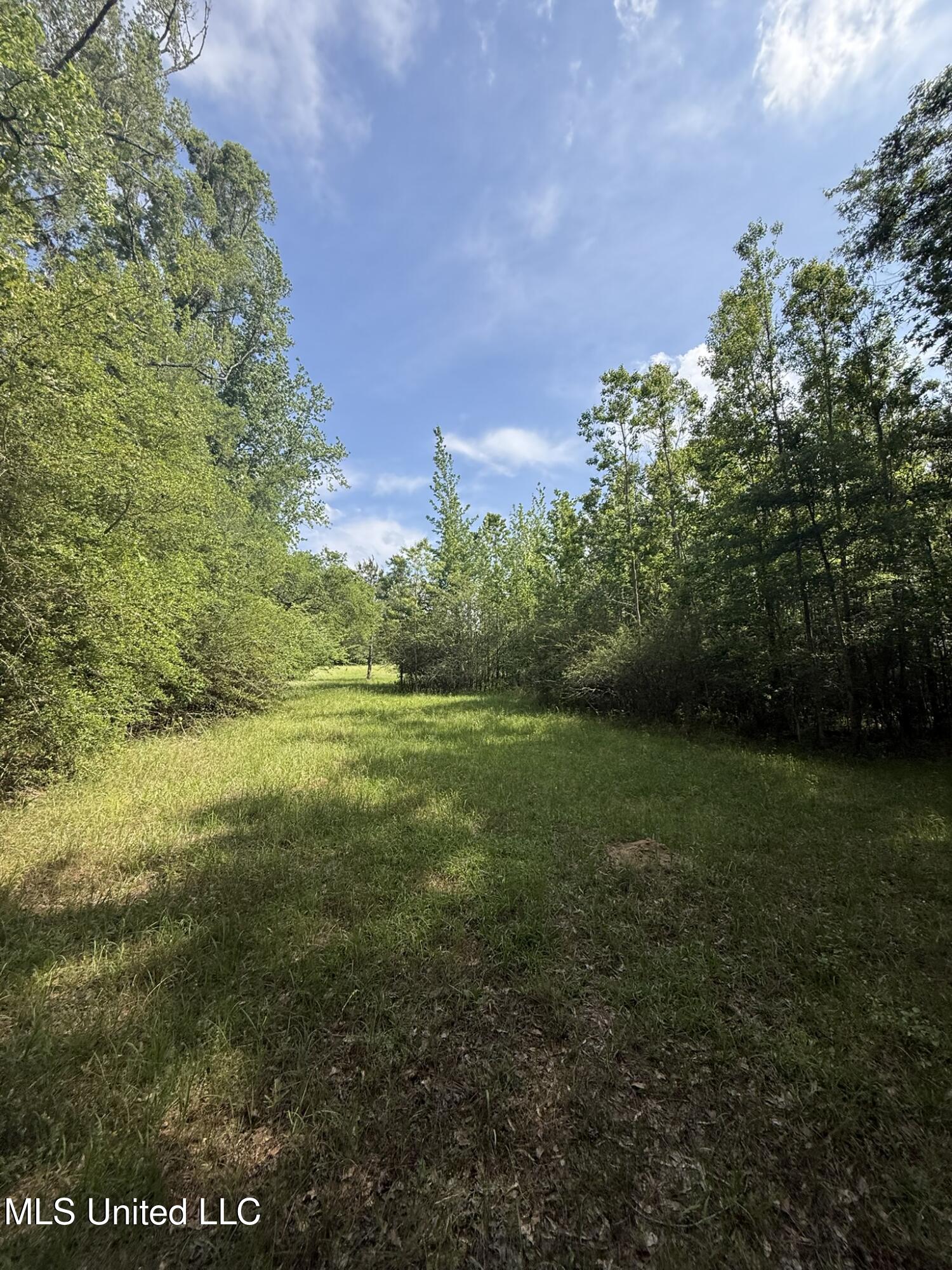 Fate Ward Road Carson, MS 39427 - Photo 23 of 33 IMG_8700