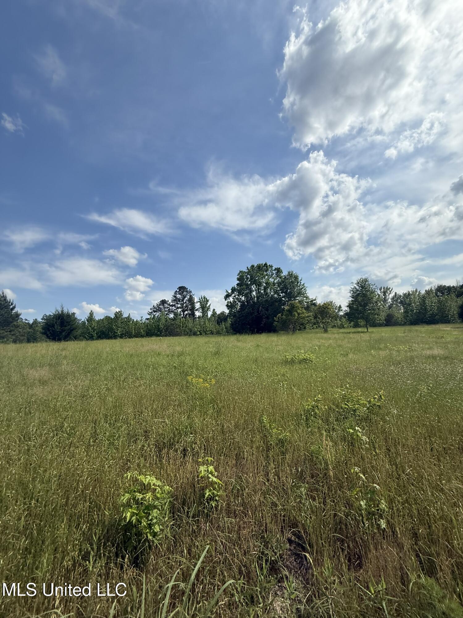 Fate Ward Road Carson, MS 39427 - Photo 27 of 33 IMG_8705