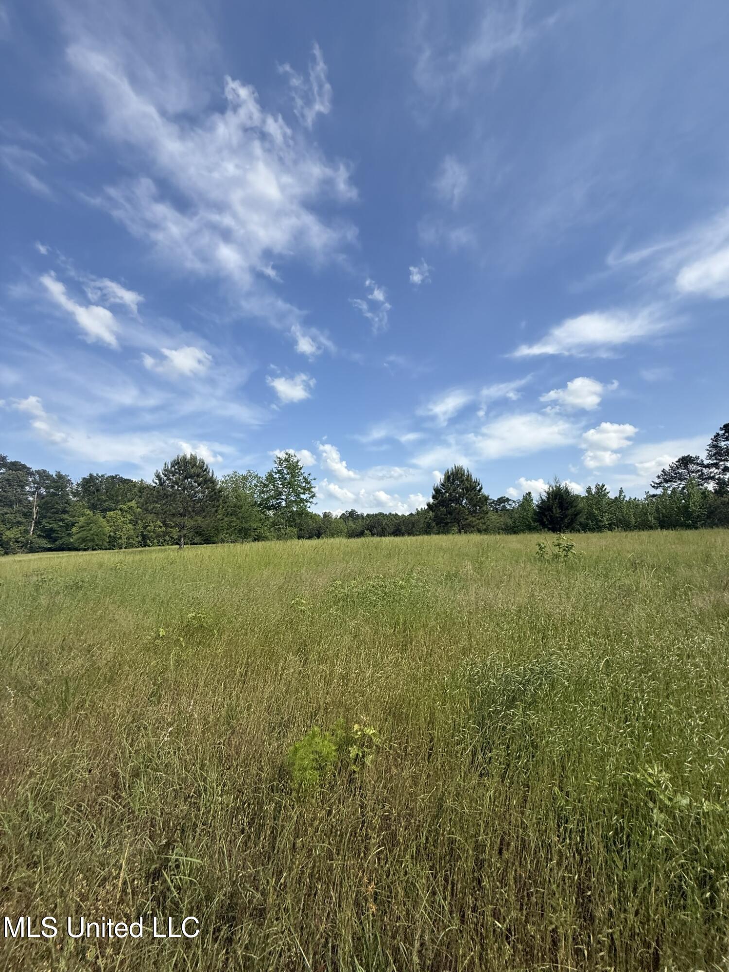 Fate Ward Road Carson, MS 39427 - Photo 28 of 33 IMG_8706