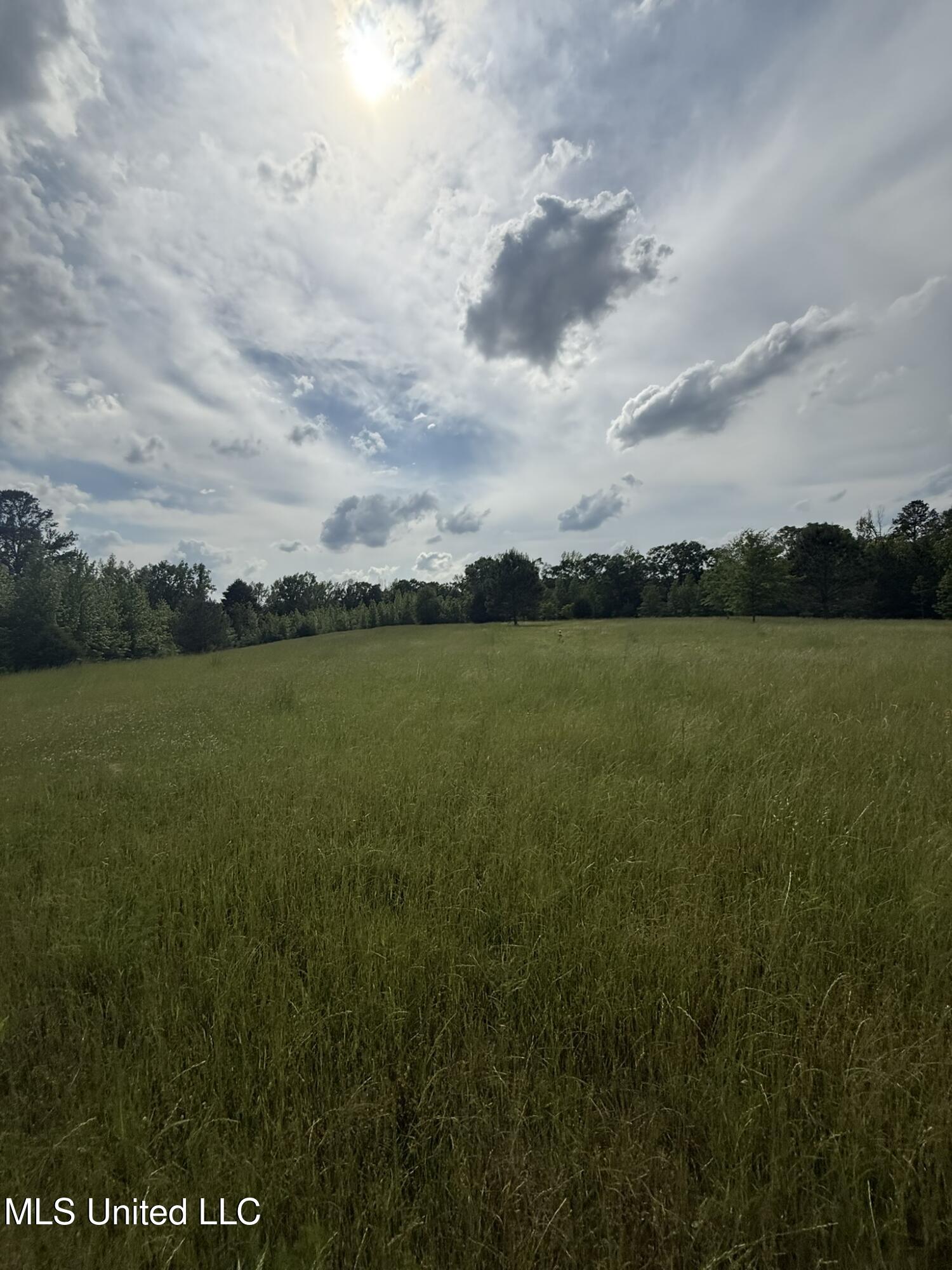 Fate Ward Road Carson, MS 39427 - Photo 29 of 33 IMG_8707