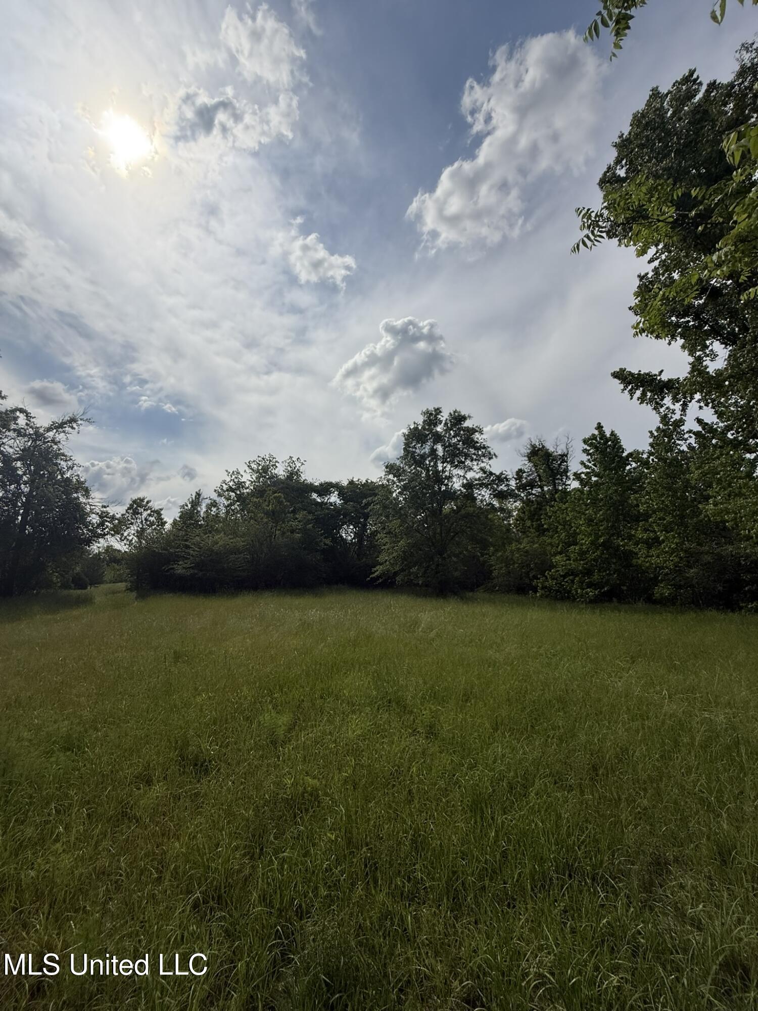 Fate Ward Road Carson, MS 39427 - Photo 33 of 33 IMG_8711