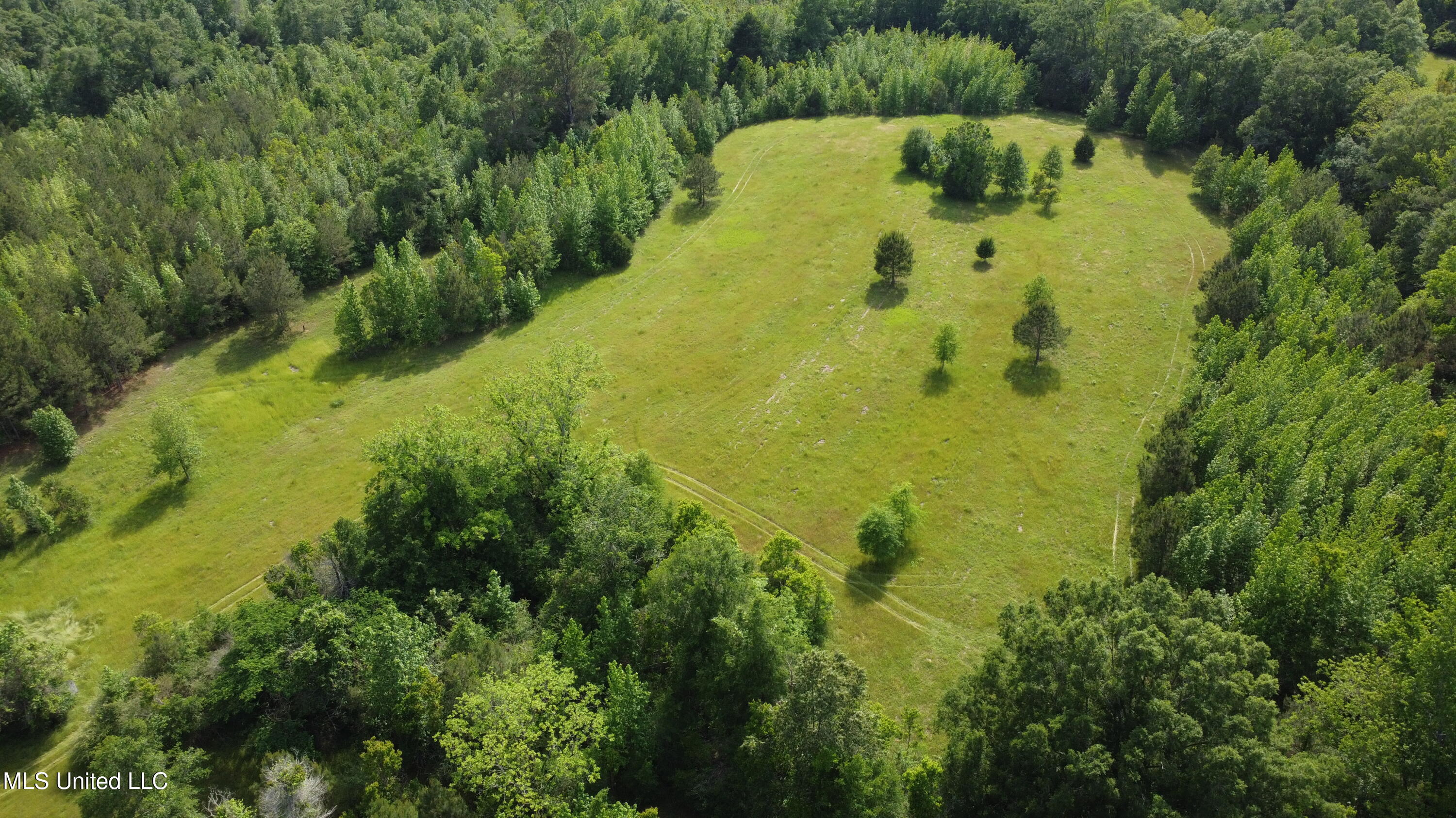 Fate Ward Road Carson, MS 39427 - Photo 5 of 33 dji_fly_20250430_160910_127_174604757767