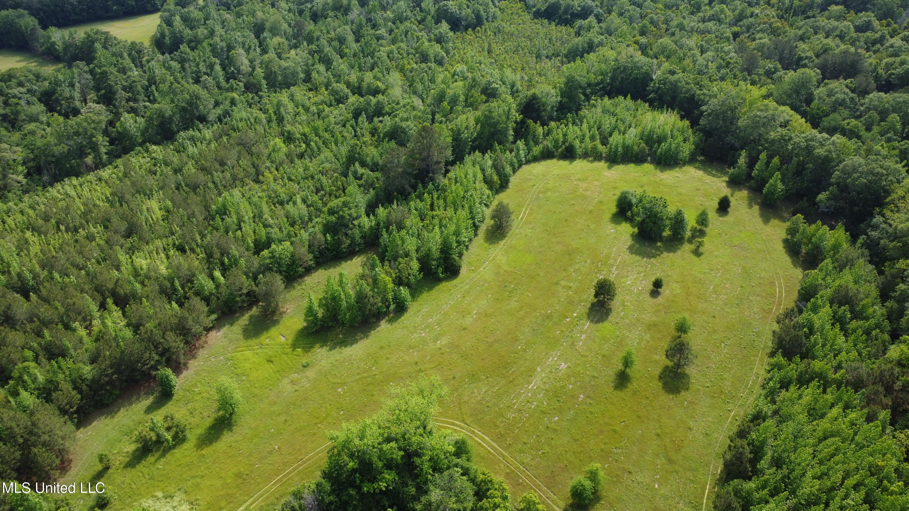 Fate Ward Road Carson, MS 39427 - Photo 7 of 33 dji_fly_20250430_160958_132_174604757767